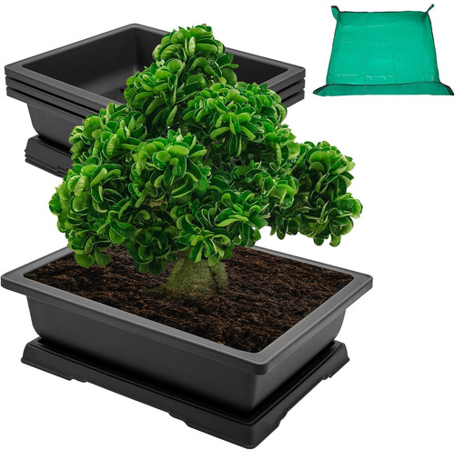 Large bonsai training pots - bonsai,