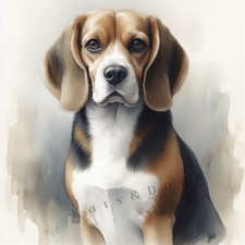 BEAGLE Watercolour ART PRINT