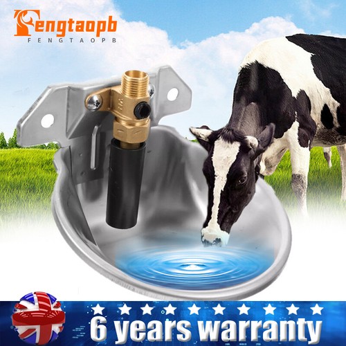 Automatic water trough drinker - water,