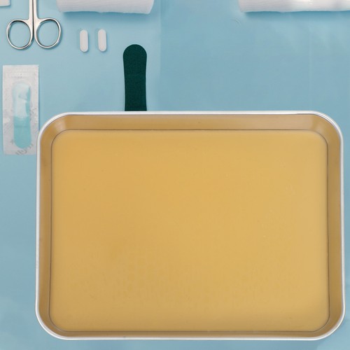 Laboratory tray dissecting - tray,