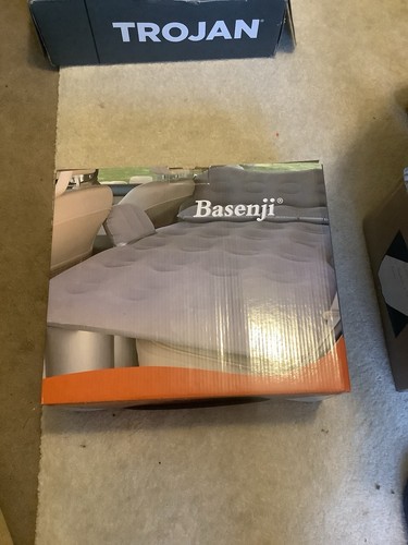 Basenji back seat - basenji,