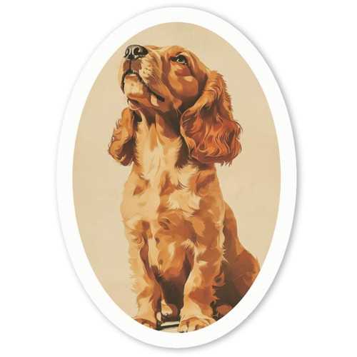 Cocker spaniel puppy white - 'cocker,