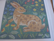 Ehrman rabbit candace - ehrman, bahouth