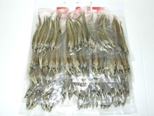 PRESERVED SEA BAIT SQUID WHITE