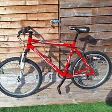 Mountain bike - mountain,
