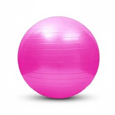 65cm Gym Yoga Ball Anti-Burst