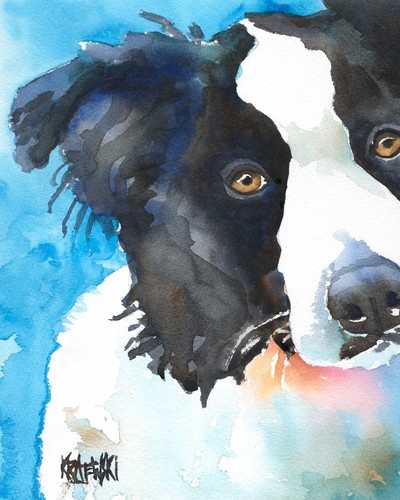 Border collie print - border,