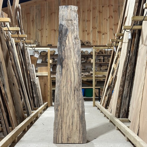 London plane plank - london, board