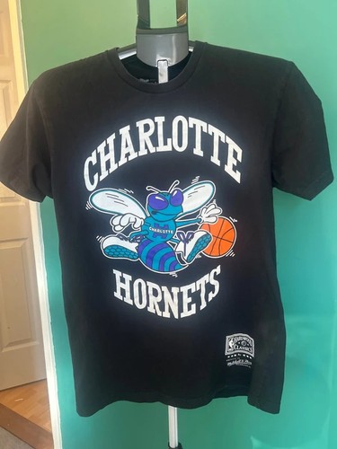 Charlotte hornets nba - charlotte,