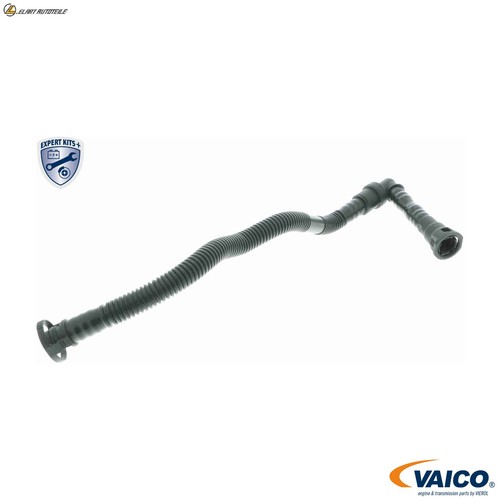 Hose crankcase breather - hose,
