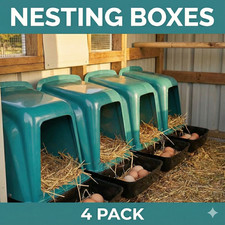 Rollaway nest box chicken - box,