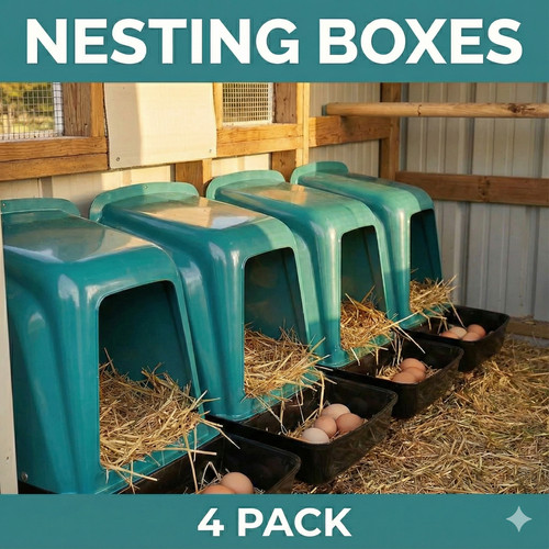 Rollaway nest box chicken - rollaway,