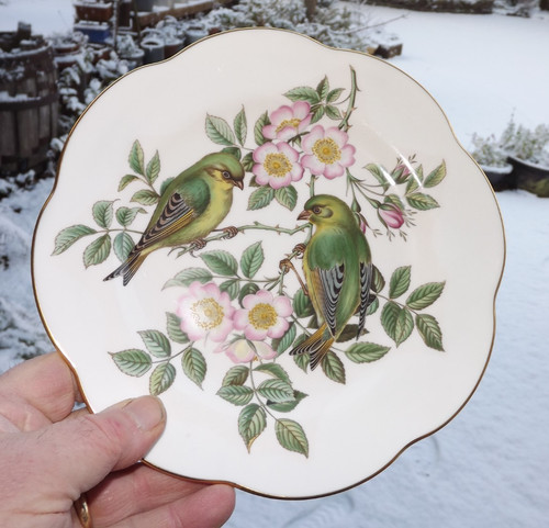 Spode garden birds 3 - birds,