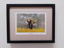 David Shepherd print 'Wise Old Elephant'  FRAMED
