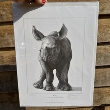 Gary Hodges Limited Edition