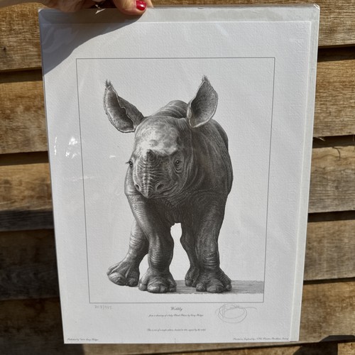 Gary hodges limited edition - gary,