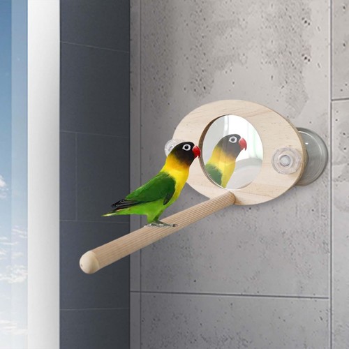 Parrot mirror toy durable - mirror,