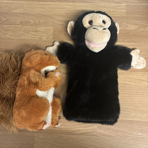 The puppet company squirrel - the,