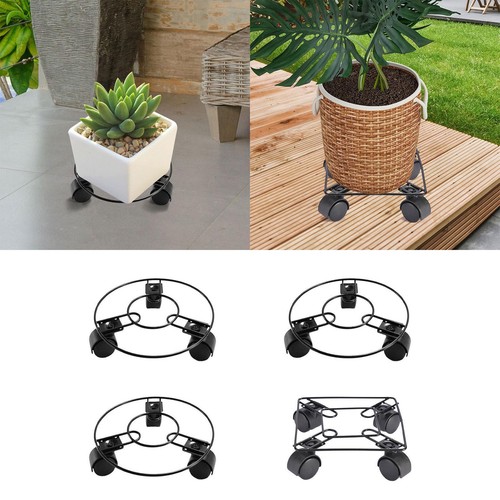 Plant saucer rolling - plant,