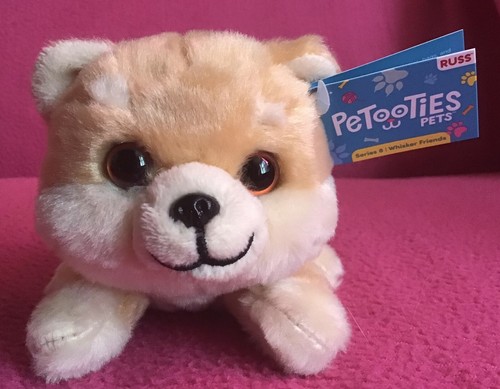 Russ petooties pets pomeranian - russ,