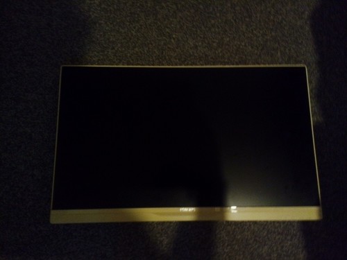 Monitor with speakers - with,