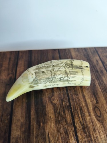 Sperm tooth scrimshaw - sperm,