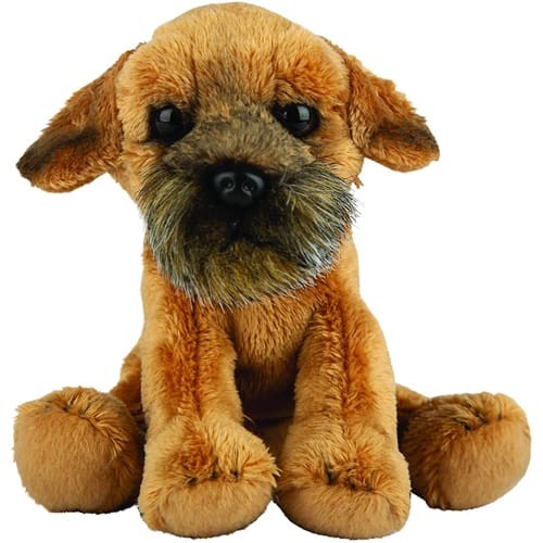 Border terrier small sitting - small,