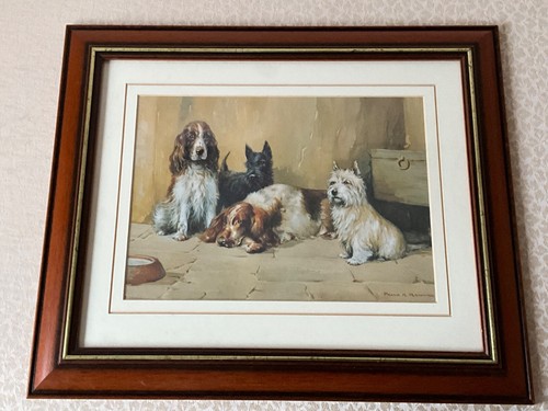 Spaniels terriers dogs by - spaniels,