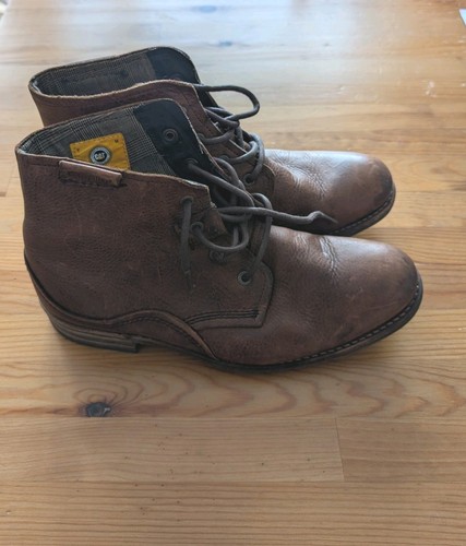 Cat men brown lace - cat, men's