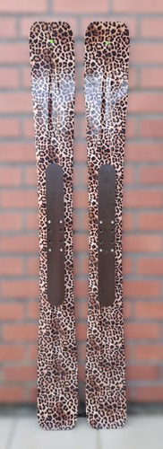 New season skiboard - season,