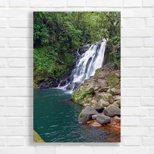 Lush Rainforest Waterfall