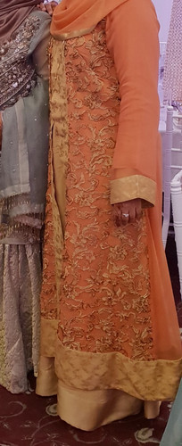 Indian pakistani wedding gown - indian,