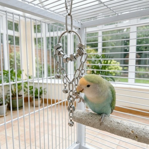 Wear resistant metal - wear-resistant, parrot