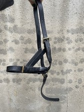 Black Leather Headcollar Mini Shetland Foal Size with Brass Buckles