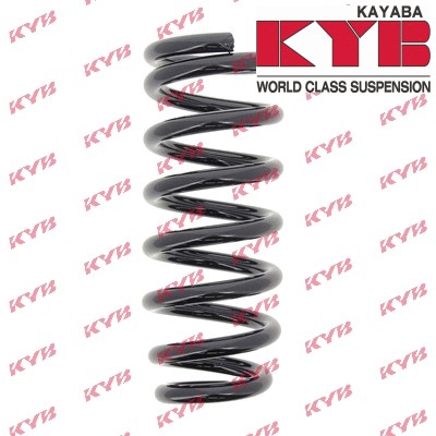 Front coil spring - spring, x1