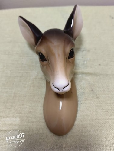 Midwinter vintage doe - midwinter,