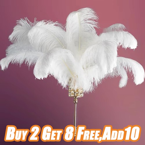 Large ostrich feather - large,