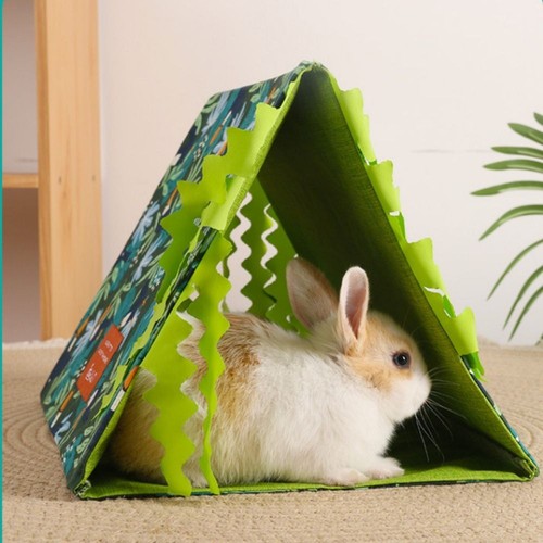 Guinea pig hiding house - hiding,