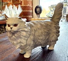 Japanese Akita Persian Cat
