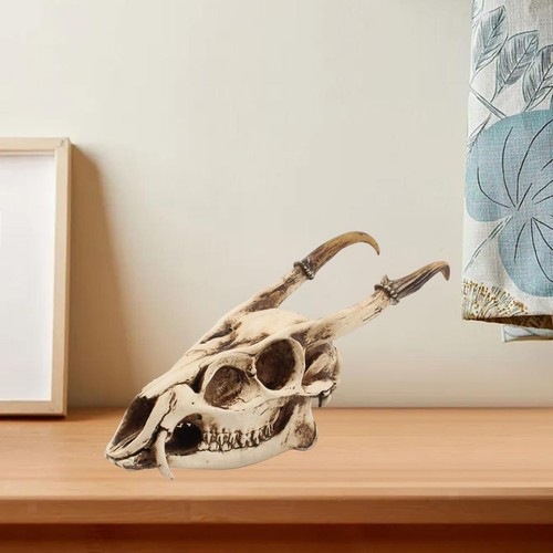 Goat skull head sculpture - head,
