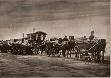 Hopping party wagons carts