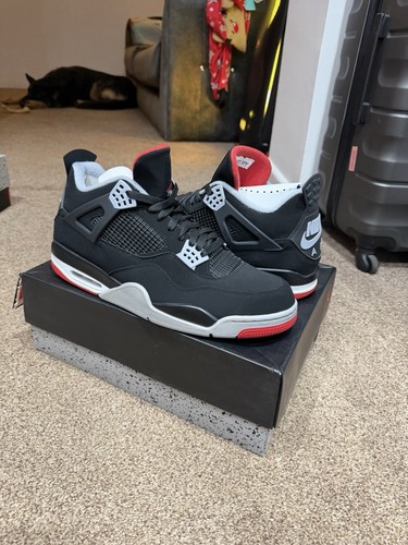 Jordan bred 2019 - jordan,