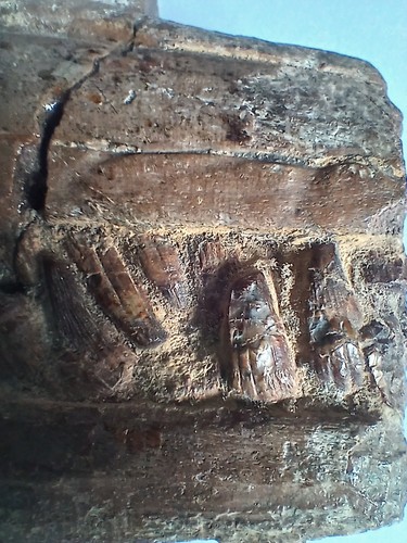 Large ichthyosaur upper and - ichthyosaur,