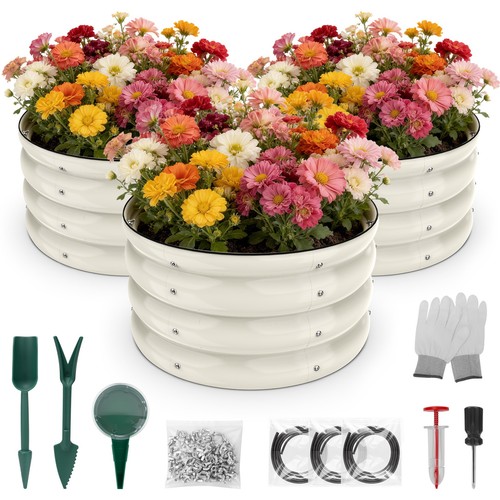 Shall 3pc round - shall,