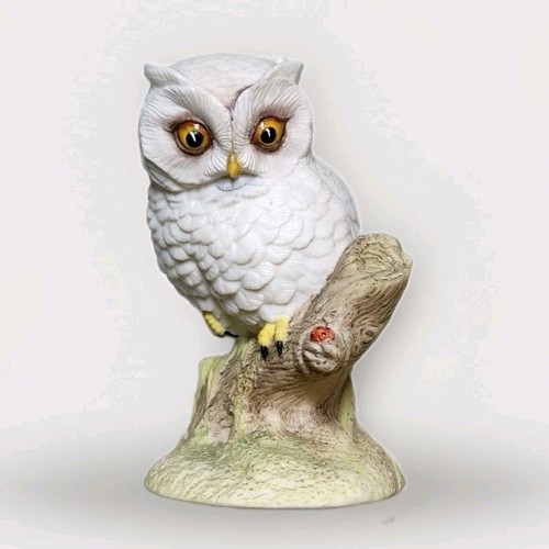 White baby owl - white, on