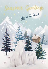 Surprise 3D Pop Out Polar