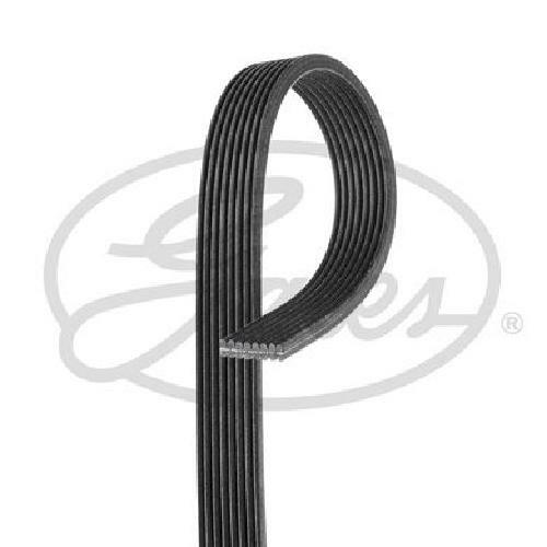 Genuine gates ribbed - genuine, belt
