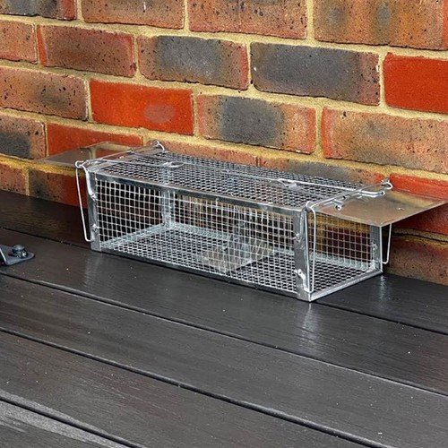 Large doors rat squirrel - large,