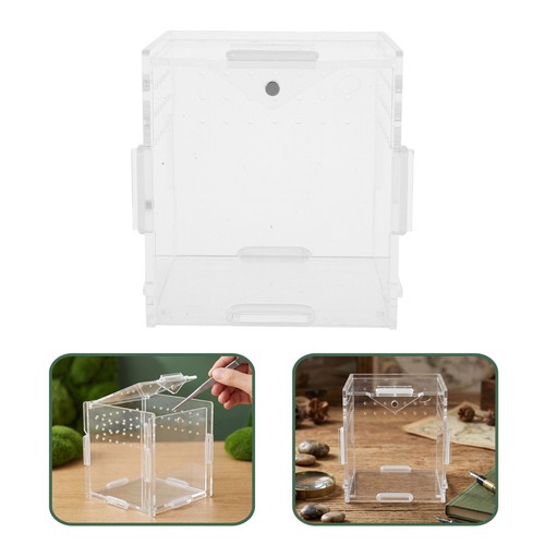 Pack reptile terrarium - pack,