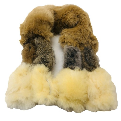 Paws made the creature - the, dog